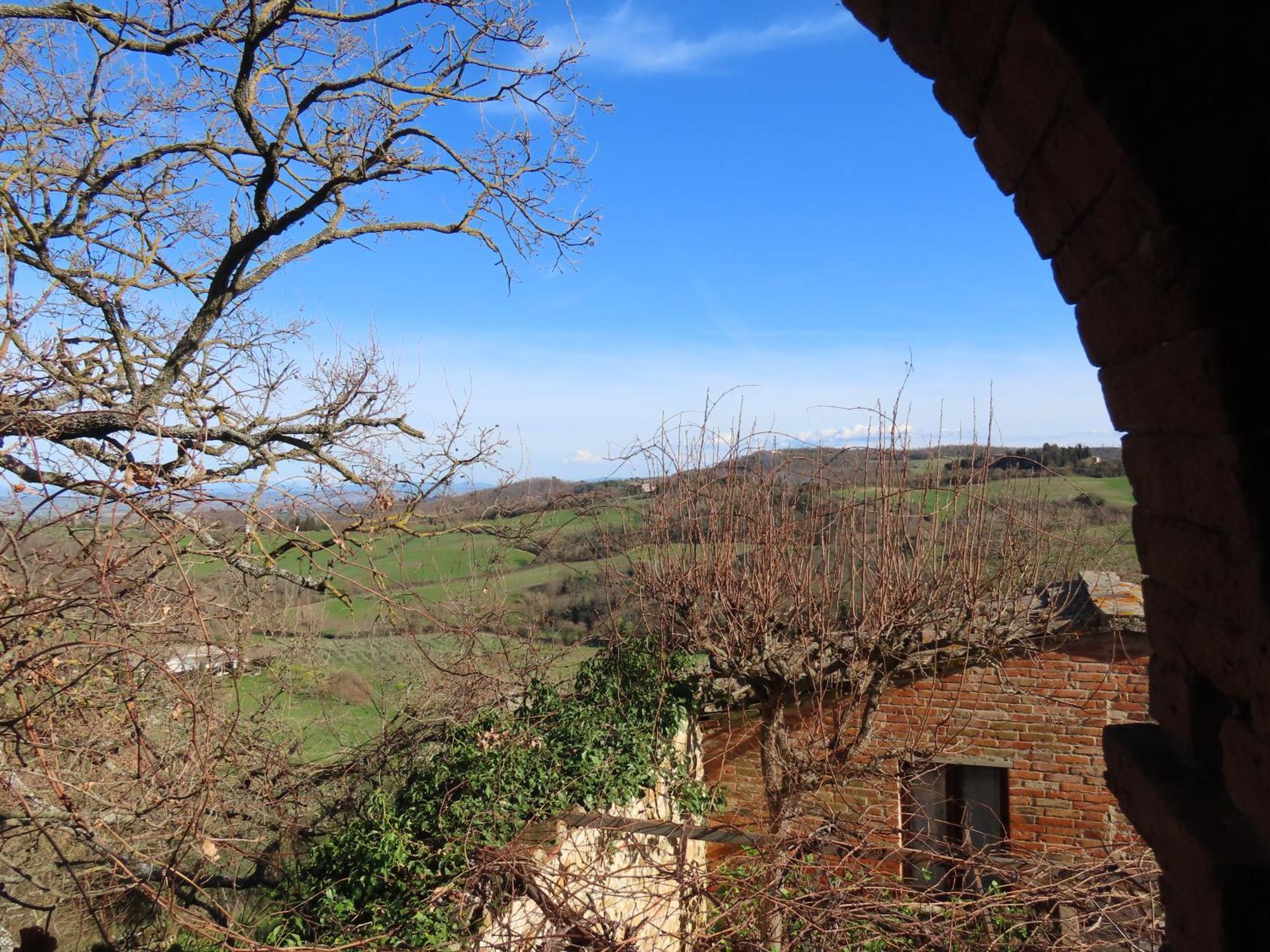 PetroioPodere Gli Oppi Toscana别墅 外观 照片